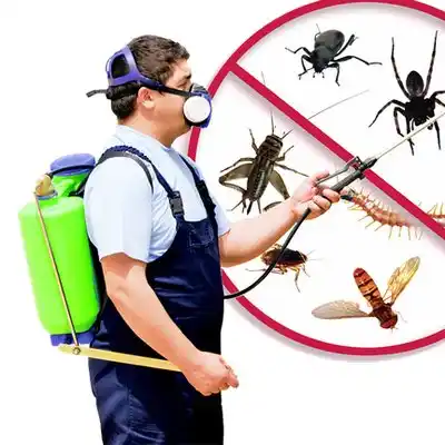 pest control Roper